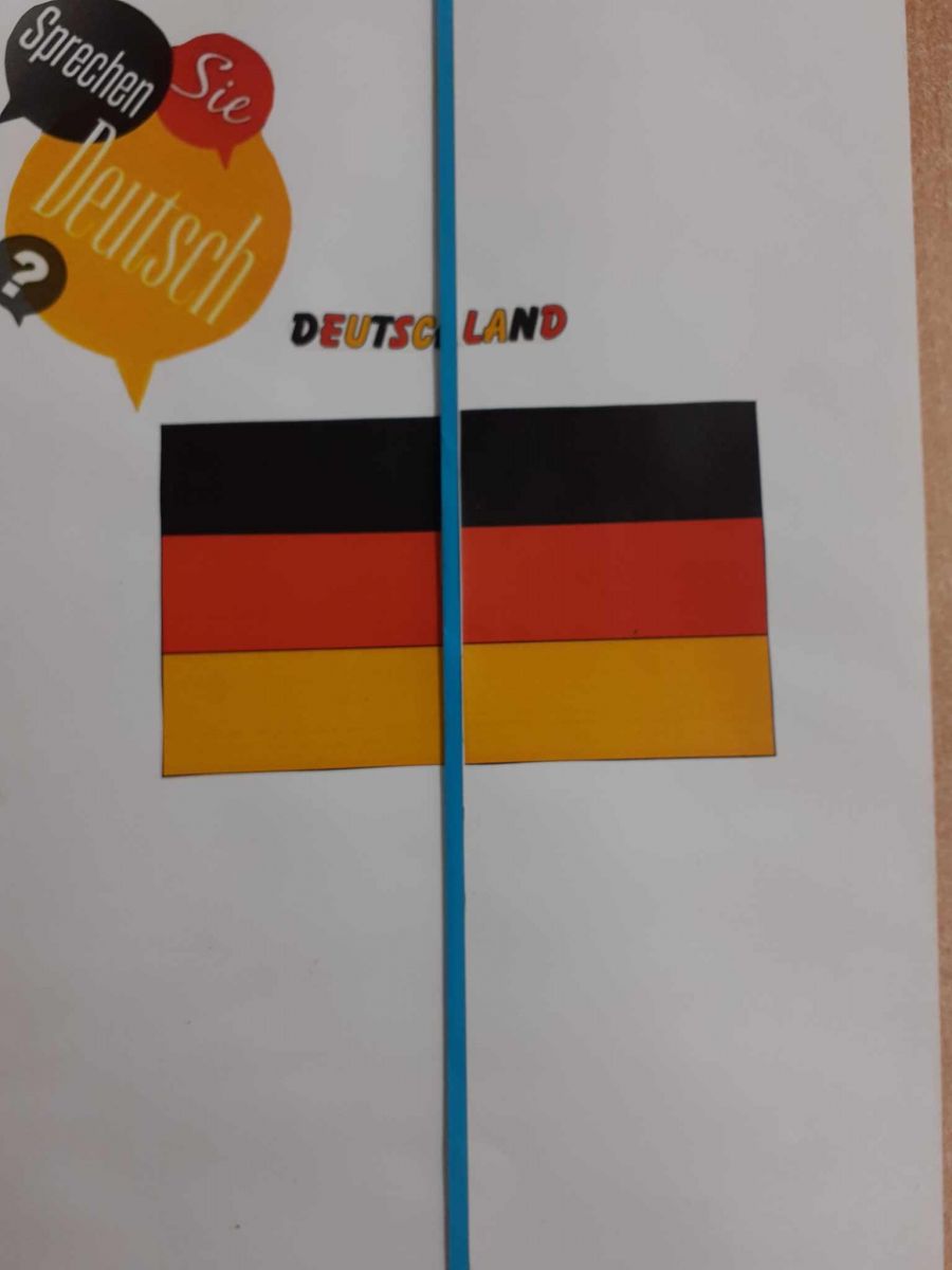 f19a4678-cf57-40f2-8c8a-d5b81dfaf4c2.jpg